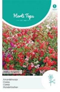 14205 clarika_500x500